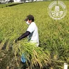 農業学校の学生と作った太陽の恵みいっぱい【コシヒカリ】玄米