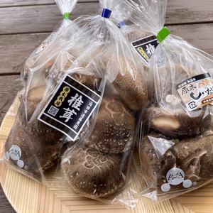 肉厚原木生椎茸