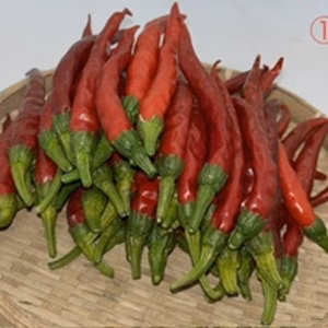 選べる「げきからとうがらし」送料185円