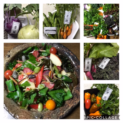 みんなの投稿の画像