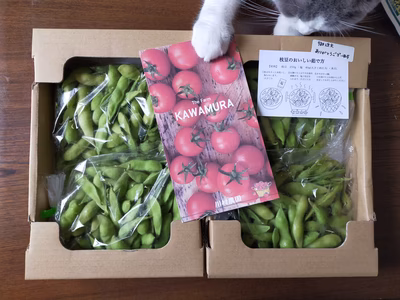 みんなの投稿の画像