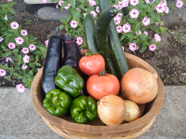 SS農家の野菜