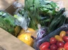 好きな野菜で野菜セット『冷蔵便』！農薬・化学肥料不使用