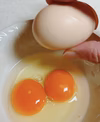 のびのび平飼い　烏骨鶏のたまご