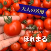 完熟ミニトマト！ほれまる