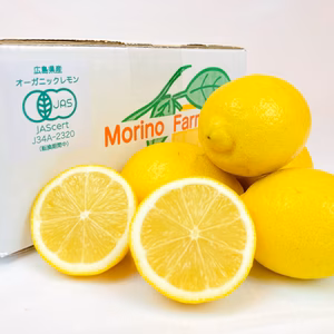 【有機JAS認証】皮まで♪オーガニックレモン