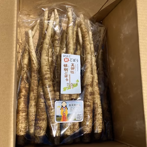 掘りたての新ごぼう　1キロ 