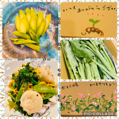 みんなの投稿の画像