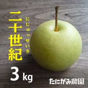 鳥取県産[二十世紀梨(にじゅっせいき)]3kg箱(7-9玉)