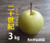 鳥取県産[二十世紀梨(にじゅっせいき)]3kg箱(7-9玉)*二箱