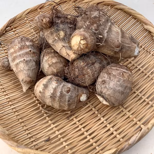 里芋   農薬・化学肥料”不使用“