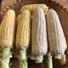 【トウモロコシ大好きなあなたへ】たっぷりのトウモロコシ【みんなでシェアとかも】