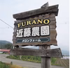 ★キングルビー★富良野メロン赤肉2.2kg以上!(×2玉入)(4玉入)贈り物等