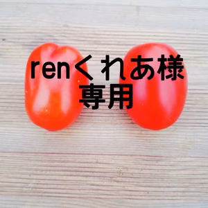 renくれあ様専用