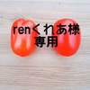 renくれあ様専用