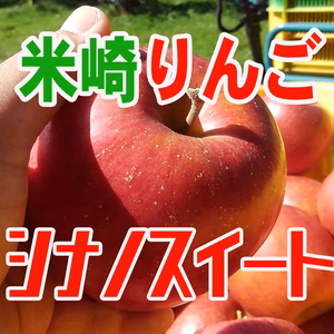 【米崎りんご】シナノスイート　引き締まった甘み！【単品】