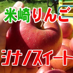 【米崎りんご】シナノスイート　引き締まった甘み！【単品】