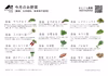 定期がお得。春夏秋冬、山から届く、シェフの育てた野菜セット