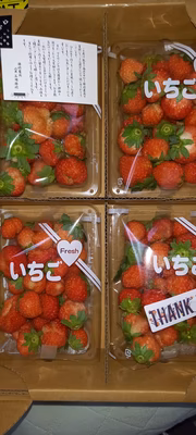 みんなの投稿の画像