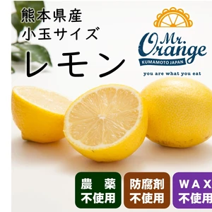 【農薬不使用・小玉サイズ・良品訳あり混合】熊本産レモン 防腐剤・WAX等不使用