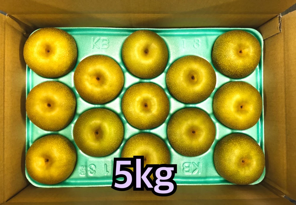 梨 幸水 長野県産 良品‼️約5kg