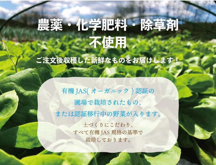 旬彩サラダセット〈化学肥料・化学農薬不使用〉