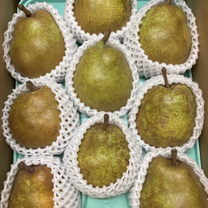 【訳ありラフランス】3kgご家庭用(８～１０個)