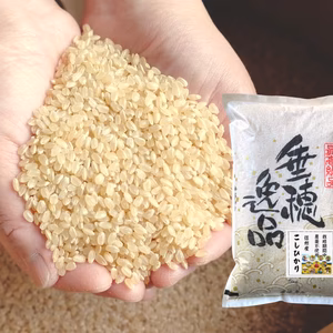 【新米】《玄米》信州産 農薬不使用米 こしひかり 令和7年産