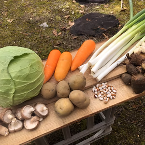 原木干し椎茸とお野菜とお米ミルキークイーンのセット！