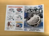 【今が旬！】殻付き牡蠣 佐賀県唐津産　2kg(20～35個)【からつんカキ】
