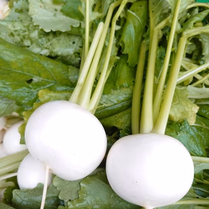 ☆とろけ～る｢こかぶ｣甘くて美味しい♪まめいち農園