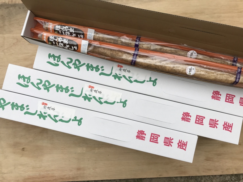 静岡食セレクション認定】ギフト用にも！ほんやま自然薯一本物 箱入りM
