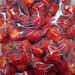 ちあきのいちご園の冷凍赤いちご