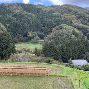 秋のほっくり詰め合わせ