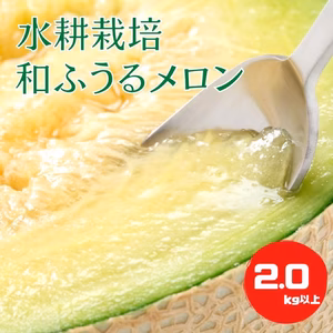 《送料込み》超大玉2.0kg以上！水耕栽培 和ふうるメロン　