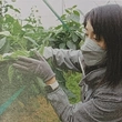 菊野里絵