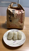 ⭐︎玄米20キロ　熊本県七城米　ヒノヒカリ⭐︎3組限定の定期便