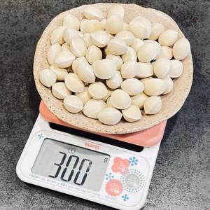 【少人数向け！お試し容量】祖父江産銀杏　藤九郎混合MIX