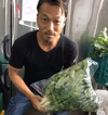超健康野菜☆毎日でも食べたい大根菜‼︎　（農薬不使用）2kg