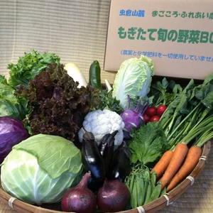 ☆月イチお届け☆もぎたて旬の野菜定期ＢＯＸ(Ｍサイズ8品目)