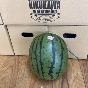 【限定送料無料】大きくなちゃった!4㌔小玉スイカ