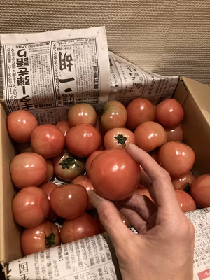 みんなの投稿の画像