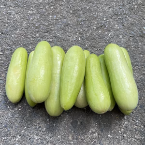 高野山麓精進野菜・胡瓜