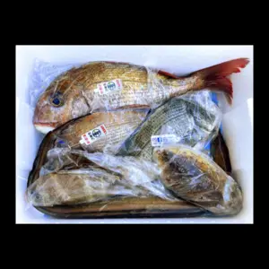 瀬戸内海岡山県産鮮魚ボックス2〜4種