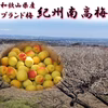 こだわりの厳選ブランド紀州南高梅