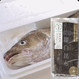 【産直極メシ】マダラ 未選別　羅臼昆布付き(花折昆布)【白子 タチ 真鱈】
