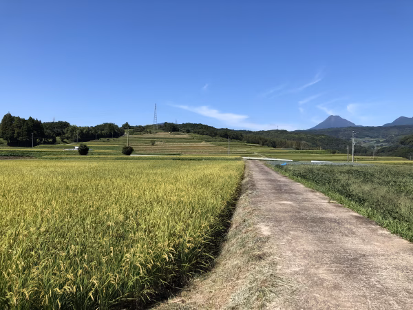 由布　首藤農園