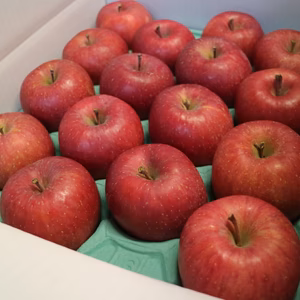 【完熟】サンふじ　約3kg～10kg