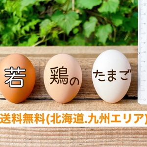 鮮度抜群プリップリ！若鶏のたまご3種MIXセット90個（180個）入り‼