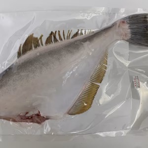 【玄界灘産】【天然】お刺身鮮度の肉厚ウスバハギ 2匹セット